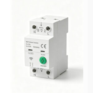 WIFI Smart Circuit Breaker 2P